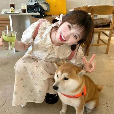 第二次初见 高清封面