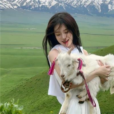 突然死亡 高清封面